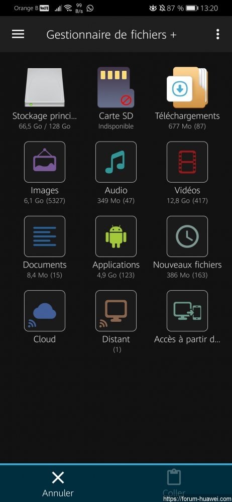 Screenshot_20200101_132011_com.alphainventor.filemanager.jpg