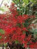 IMG_20201111_121521.jpg